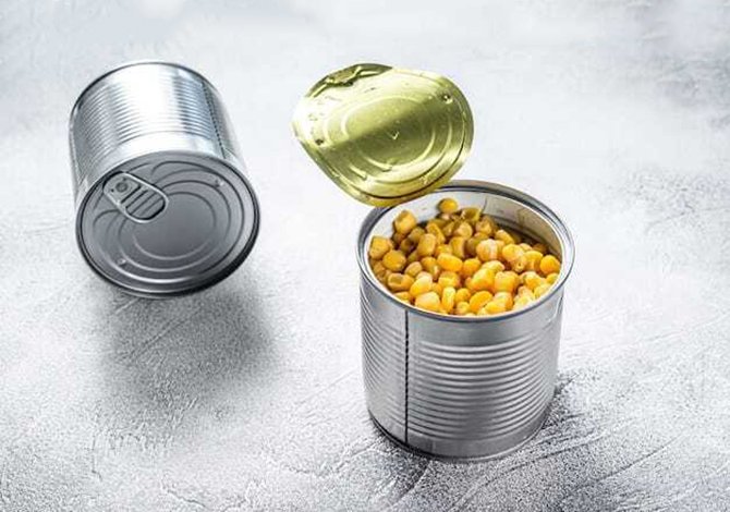 arvindcans, arvind cans, www.arvindcans.com, arvind cans limited, arvind-cans, arvind-cans-limited, fish tin cans, seafood storage tin cans, fish can packaging tins, meat tin cans, luncheon meat tin cans, paneer tin cans, cheese tin cans, dairy product tin containers, milk-based food tin cans, tofu tin containers, vegetarian food tin cans, beans tin cans, spinach canned tins, mango pulp tin cans, sweet food tin cans, gulab jamun tin cans, pineapple tin cans, food-grade metal cans